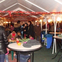 2011_12_17_17dec.goedewensenboom_1583