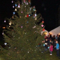 2011_12_17_17dec.goedewensenboom_1591